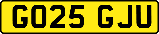 GO25GJU
