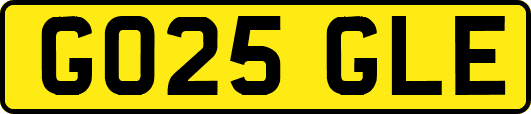 GO25GLE