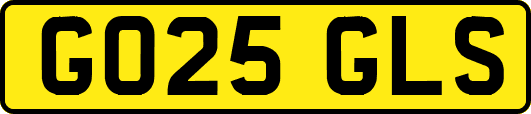 GO25GLS