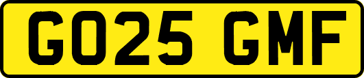 GO25GMF