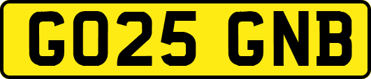 GO25GNB