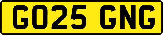 GO25GNG