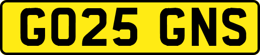 GO25GNS