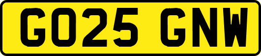 GO25GNW