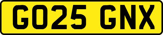 GO25GNX