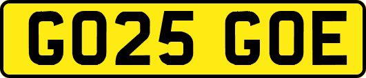 GO25GOE