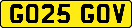 GO25GOV