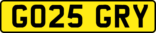 GO25GRY