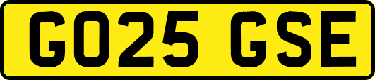 GO25GSE