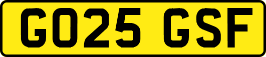 GO25GSF