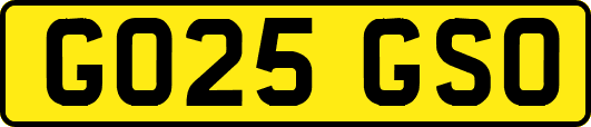 GO25GSO