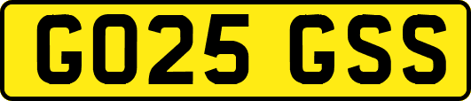 GO25GSS