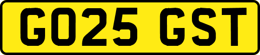 GO25GST