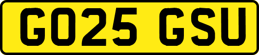 GO25GSU