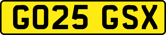 GO25GSX