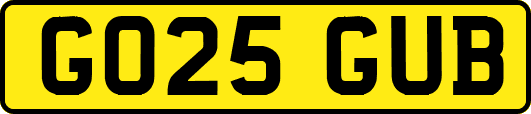 GO25GUB