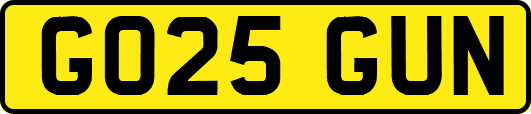 GO25GUN