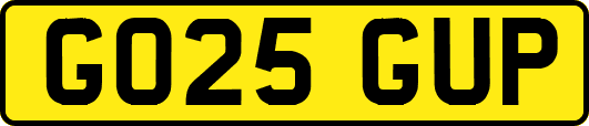 GO25GUP