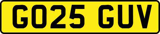 GO25GUV