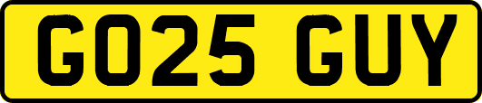 GO25GUY