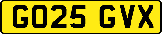 GO25GVX