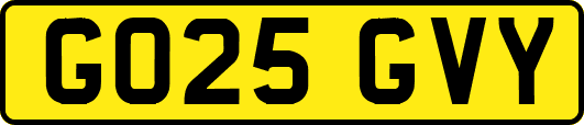 GO25GVY