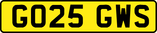 GO25GWS