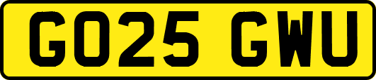 GO25GWU