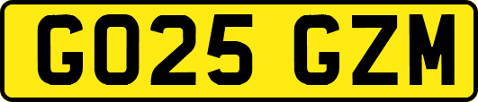 GO25GZM