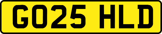 GO25HLD