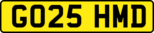 GO25HMD