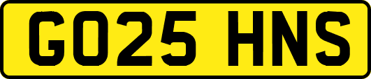 GO25HNS