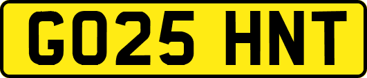 GO25HNT
