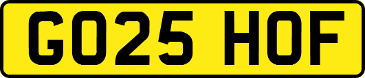 GO25HOF