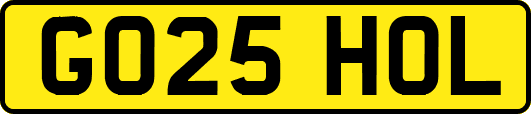 GO25HOL
