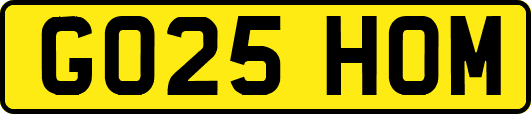GO25HOM