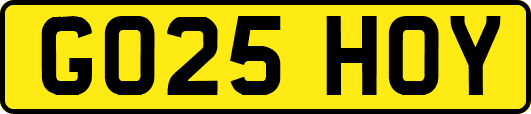 GO25HOY