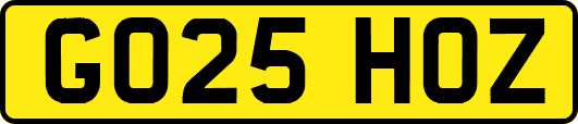 GO25HOZ