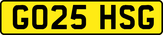 GO25HSG