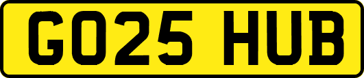 GO25HUB