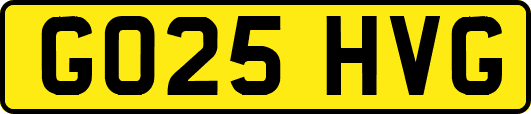 GO25HVG