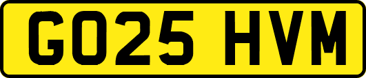 GO25HVM