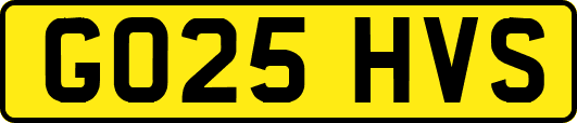 GO25HVS