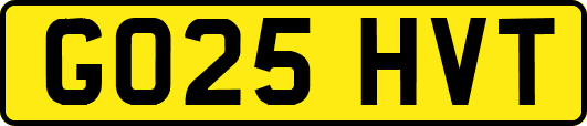 GO25HVT