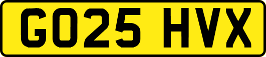 GO25HVX