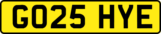 GO25HYE