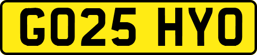 GO25HYO