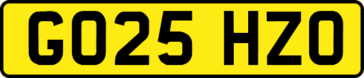 GO25HZO