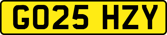 GO25HZY