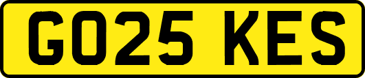 GO25KES